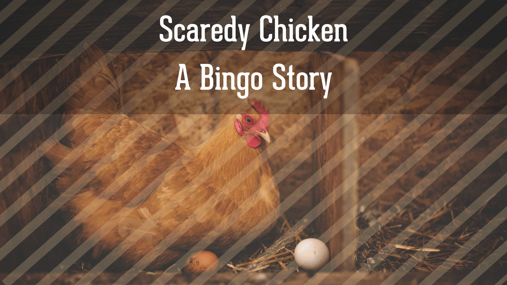 Scaredy Chicken