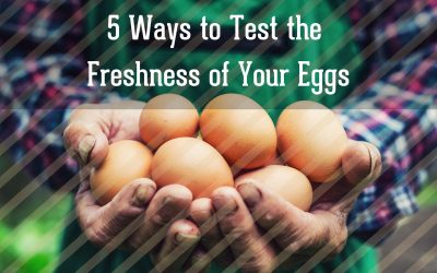 5 Ways to Test the Freshness of Your Eggs